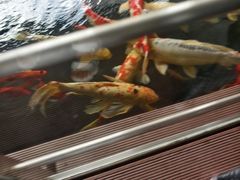 -马哥孛罗咖啡厅·Cafe Marco (厦门马哥孛罗东方大酒店)