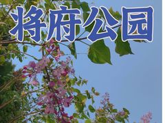 -将府公园