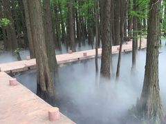 -东湖落雁景区