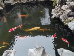 -鲤院·新中式美学·庭院餐厅(夫子庙店)