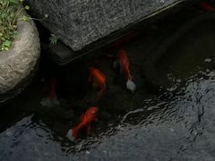 -前童古镇