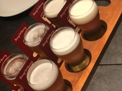 -Boxing Cat Brewery拳击猫精酿啤酒馆(永福店)