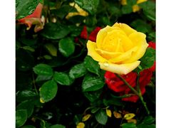 -万达影城(银兴菲林店)