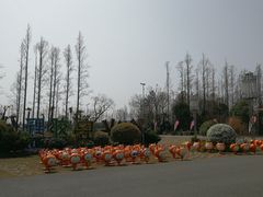 -上海长兴岛郊野公园