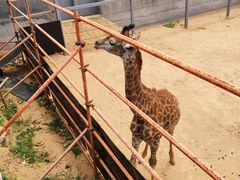 -西霞口神雕山野生动物世界