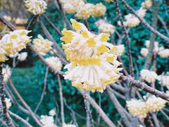 -宝业会稽山高尔夫俱乐部