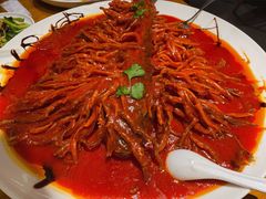 金毛狮子鱼-丹江渔村(望京店)