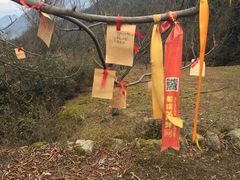 -大明山自然探索公园