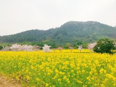 -径山花海