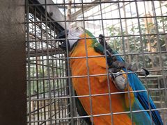 -南宫五洲植物乐园