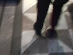 -金华安大酒楼·老牌潮菜·粤式茶点(东方国际店)