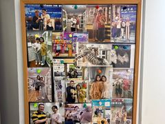 -青奢宠物·青奢猫舍