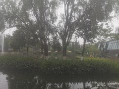 -成飞公园