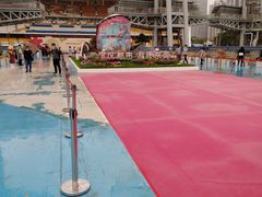 -海心沙亚运公园