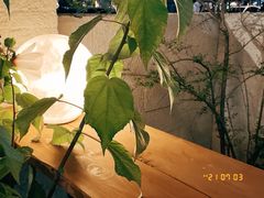 -Jo's Garden