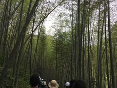-千泷沟大瀑布旅游区