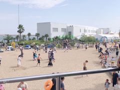 -碧海金沙