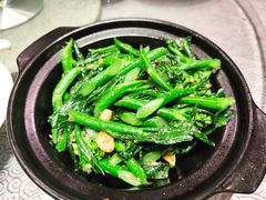 姜汁烧酒炒芥兰苗-淇乐多品味馆(江南大道店)