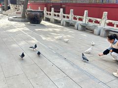 -潭柘寺景区