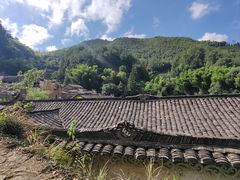 -杨家堂村