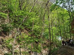 -大连天门山国家森林公园