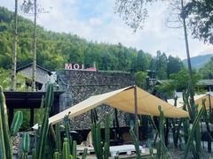 -MOJ coffee(瓯海泽雅水碓坑店)