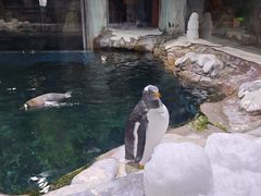 -郑州海洋馆