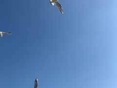 -滇池海埂公园