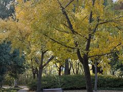 -上海交通大学(闵行校区)