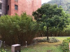-香港大学