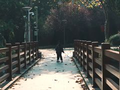 -泰州凤城河风景区-泰山公园