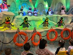 -帝企鹅自助餐厅•儿童岛•真企鹅(长隆企鹅酒店)