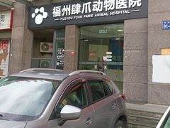 -福州肆爪动物医院