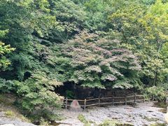 -关门山森林公园