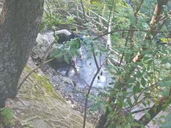 -野三坡百草畔景区