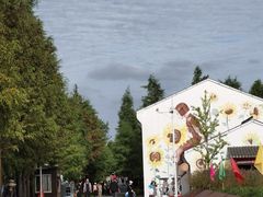 -柳鹭田园区