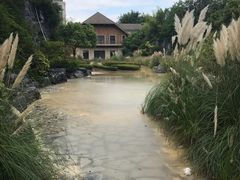 -吴淞炮台湾湿地森林公园烧烤区