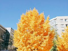-辽宁大学(崇山校区)