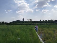 -永定河休闲森林公园