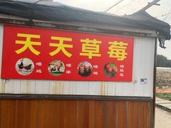 -青浦采草莓天天草莓园