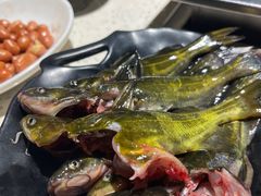 -二荆条·蜀鲜汇城市森林火锅