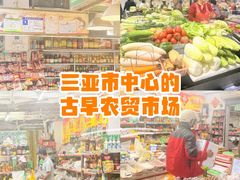 -金鸡岭农贸市场
