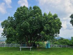 -杭州屏风山越野车营地·团建别墅轰趴民宿