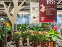 -宜家家居(四元桥商场店)