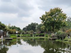 -洪湖家庭农场·团建·露营·会议