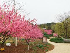-北京西山国家森林公园