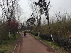 -白鹭湾湿地公园