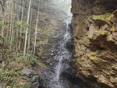 -大余丫山旅游度假区