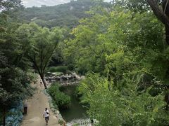 -白水寺森林公园