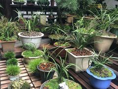 -我嘉书房(南翔名士居店)